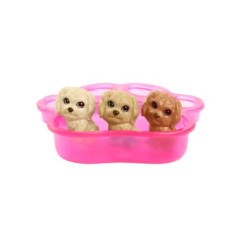 Barbie Y Sus Cachorros Muneca Rubia Y Perritos De Juguete 3 Anos* Muñecas