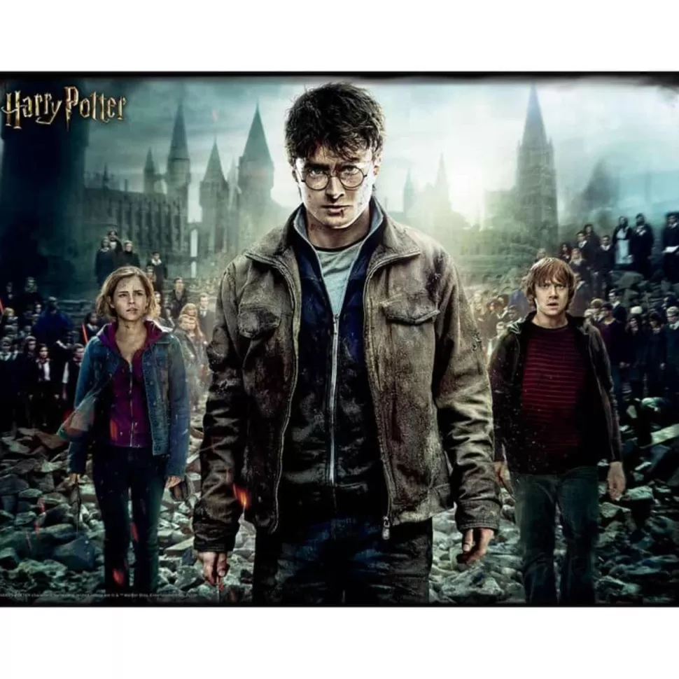 Harry Potter Puzzles Y Educativos^Puzzle Lenticular 3D , Hermione Y Ron 500 Piezas